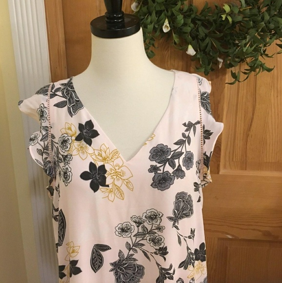 Nwt Blush Floral shift dress - Picture 3 of 8